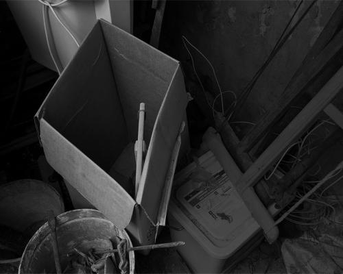 Carton + scies