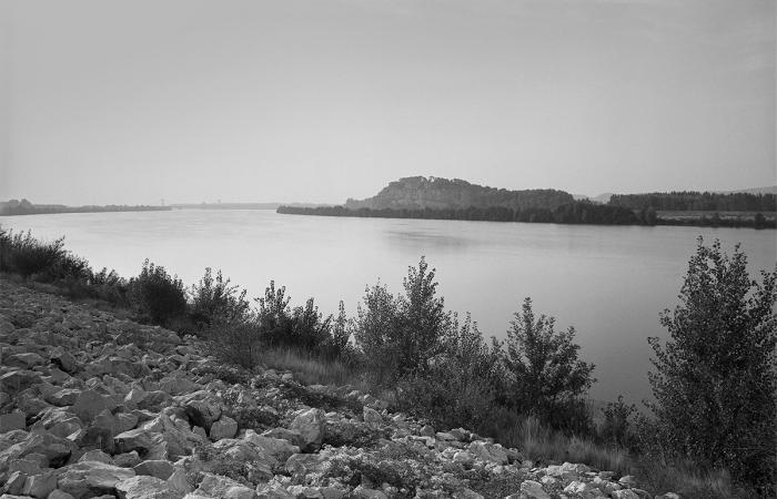 Section 4