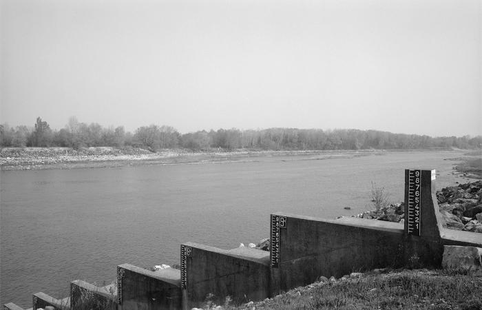 Section 7