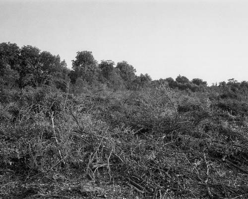 Garrigue 1_24