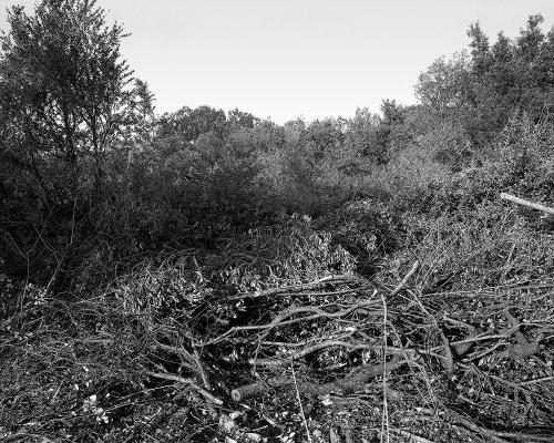 Garrigue 1_26