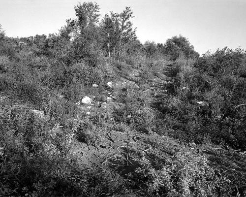 Garrigue 1_29