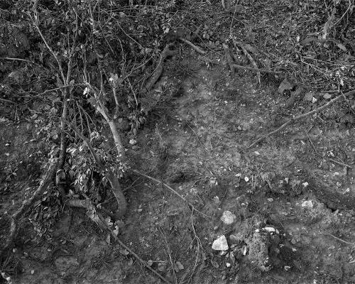 Garrigue 2_15