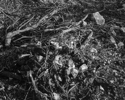 Garrigue 2_16