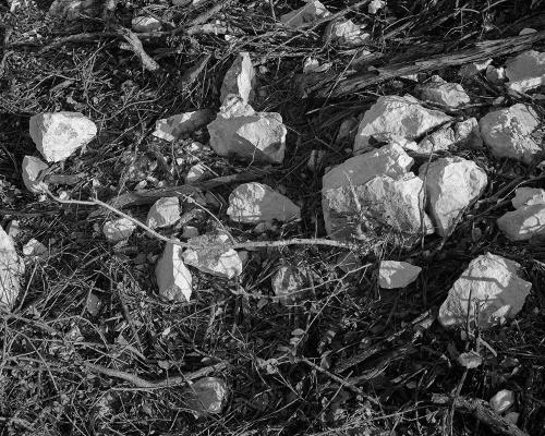 Garrigue 2_21