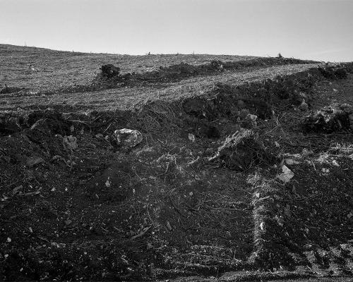 Garrigue 3_15