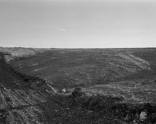 Garrigue 3_17
