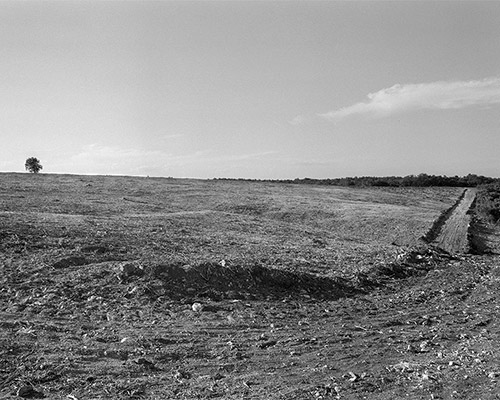 Garrigue 3_1