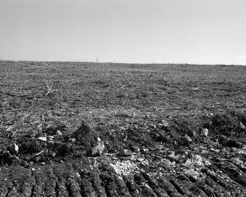 Garrigue 3_23