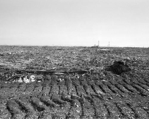 Garrigue 3_26