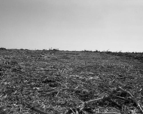 Garrigue 3_27