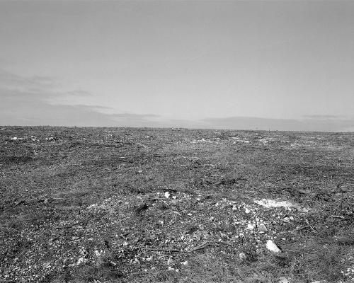 Garrigue 3_29