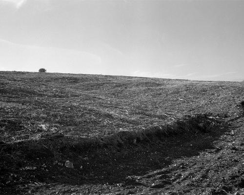 Garrigue 3_2