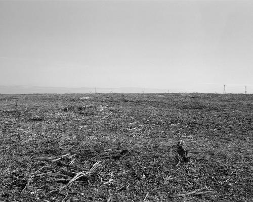 Garrigue 3_30