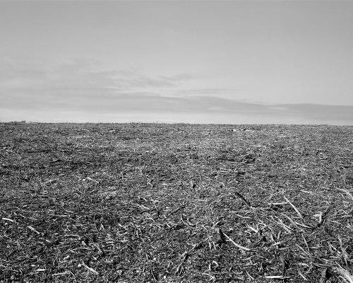 Garrigue 3_31