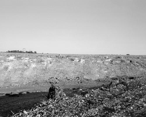 Garrigue 3_3