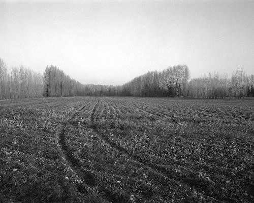 Oiselay 1_16