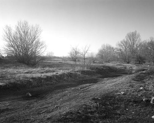 Oiselay 2_10